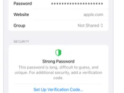 Apple Passwords Screenshot 1