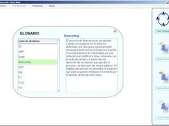 Glossary