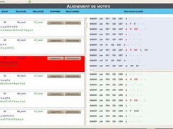 Alignement de motifs en 2D