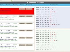 Alignement de motifs en 2D