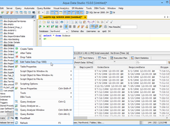 Aqua Data Studio's table data editor