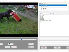 Video module