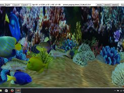 aquarium_chung Screenshot 6