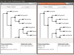 main interface