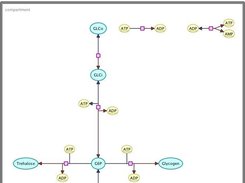 Close up on the graph view: SBGN compliant diagram