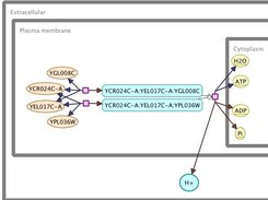 SBGN diagram based on the interpretation of SBO annotations