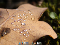 ArchBox LiveCD initial boot