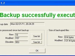 3 - Summary window