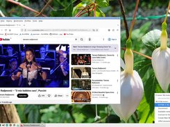 WiFi connection in LXQt - Build 260108