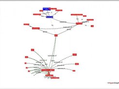 relation map (powered by Hypergraph)