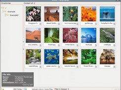 View the details of a file by a simple hover