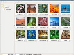 A overvieuw of the images that are uploaded