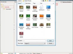 Upload one or multiple files/images