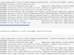 Argo CD Image Updater Screenshot 1