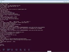 Qemu ARM linux