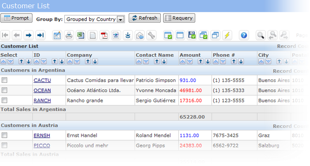 Arnica WebReport Screenshot 1