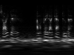 Spectrogram of speech obtained with the ARSE