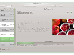 [FR] Screenshot ArteFetcher v0.3.1 - Search by broadcast date in german