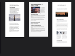 Article Editor Screenshot 1