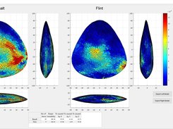 Mean Shape Comparison