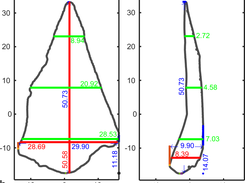 Automatic Measurements