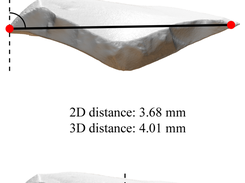 Manual Measurements