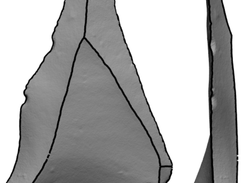 Scars Analysis