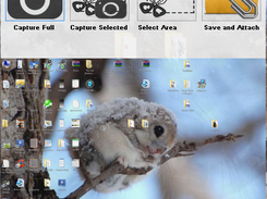 Screen Capture