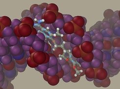 DNA-ligand modeling on Ascalaph