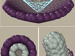 Nano structures examples 