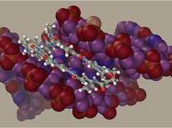 DNA-ligand simulation