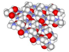 Protein Beta sheet