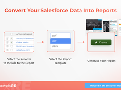 Convert Salesforce Data into Reports