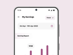 Transparent report with earnings overview