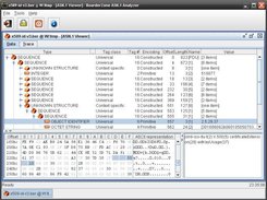general user interface with a loaded X.509 certificate