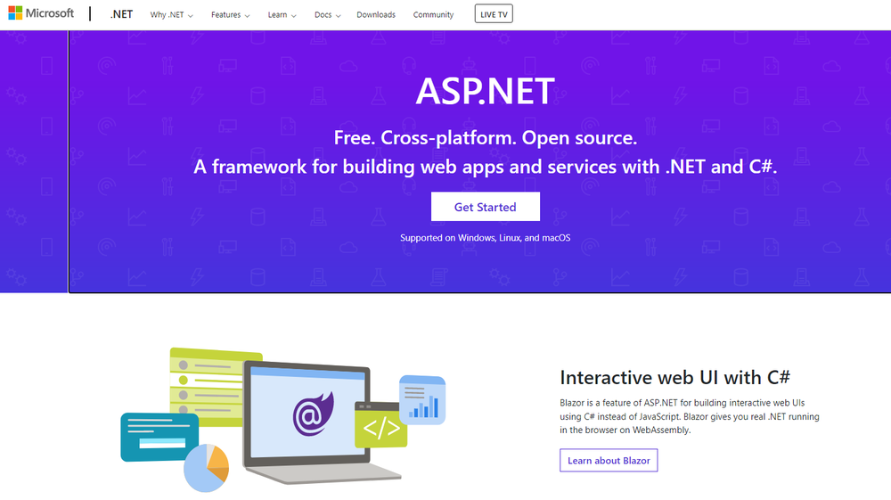 ASP.NET Screenshot 1