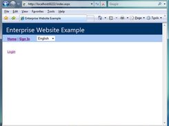 Example default enterprise web application