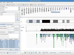 General view, with 2 tracks (SNP + genes)
