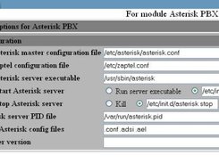 Asterisk module configuration