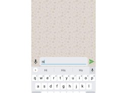 Astian Spika Screenshot 1