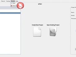 Main (Projects) Window