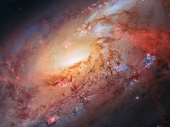 Astro Screenshot 1