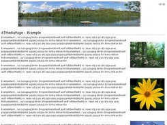 1. AT MediaPage (large image on top & smal on right side)