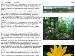 3. AT MediaPage (bigger images on right side)