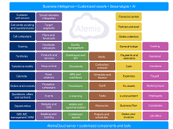 Atemis CRM Screenshot 1