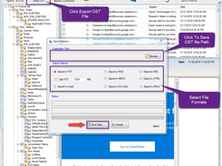 Savinf file formats