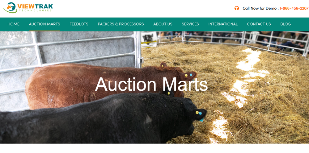 Auction Master Pro Screenshot 1