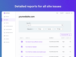 Detailed reports for all site accessibility issues