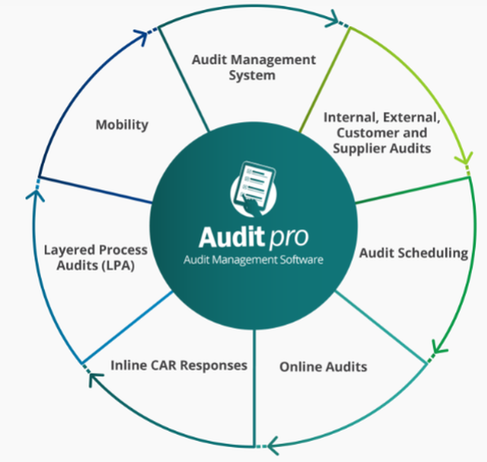 Audit Pro Screenshot 1