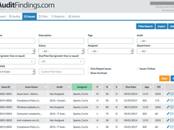 AuditFinding-IssueDetailTab